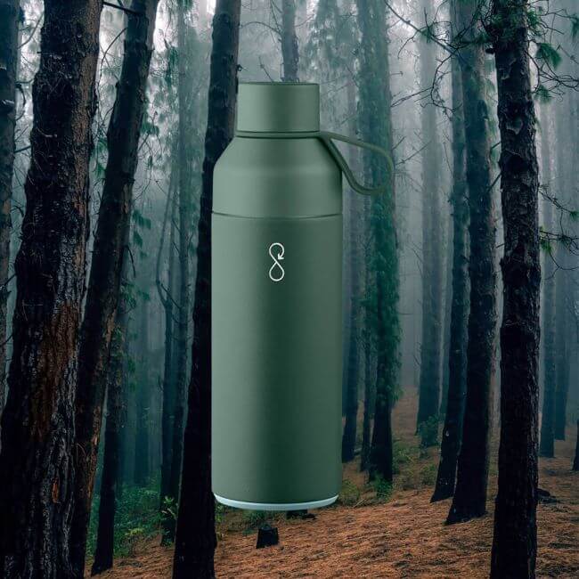 Forest 1